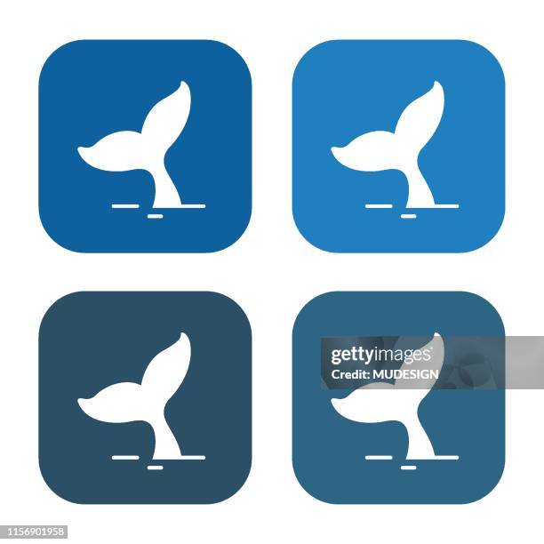 stockillustraties, clipart, cartoons en iconen met walvis staarten icoon - walvis