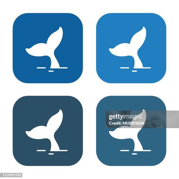 ilustrações, clipart, desenhos animados e ícones de ícone das caudas da baleia - fin
