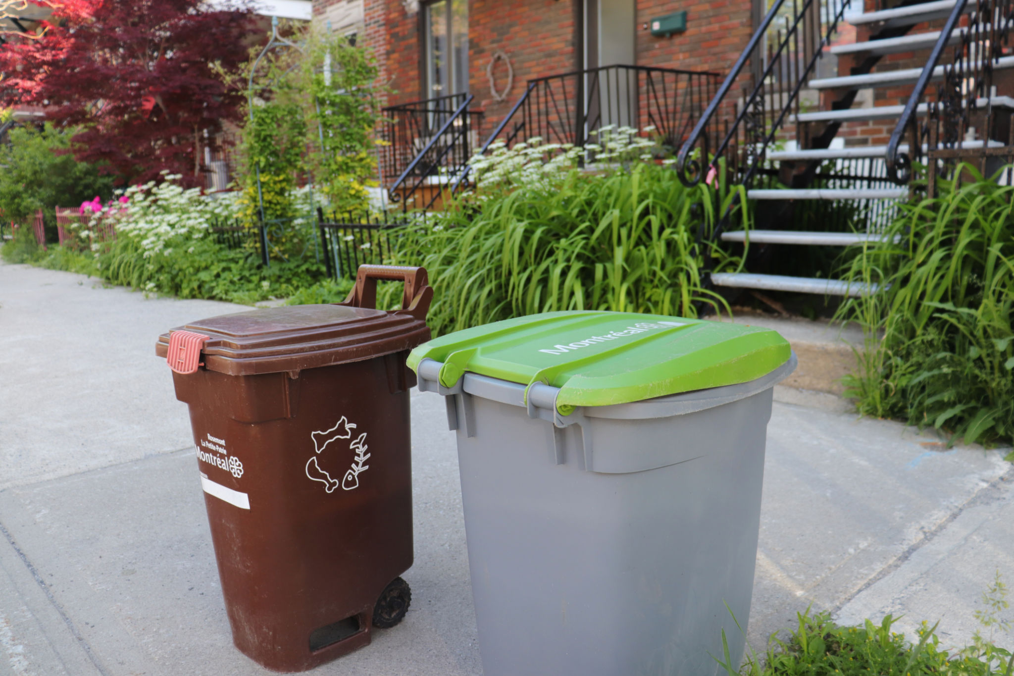 organic waste collection