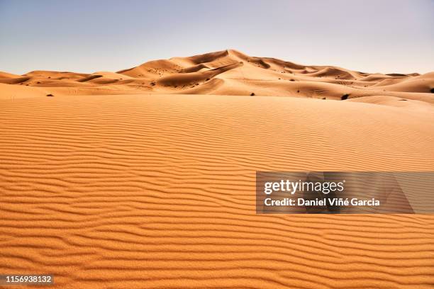 erg chebbi sand dune at sunrise, morocco, africa - sahara　sunrise ストックフォトと画像