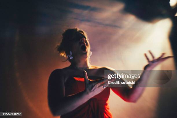 de grote zangeres - opera stockfoto's en -beelden