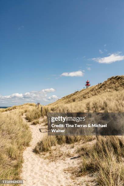 lighthouse on the beach of sylt. "ellenbogen" - ellenbogen stock pictures, royalty-free photos & images