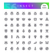 Insect Line Icons Set
