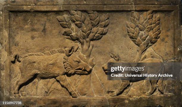 Relief depicting a dog and a wild boar facing each other. It illustrates the citation of the Cynics, disciples of Diogenes. 'As a small dog hinders a...