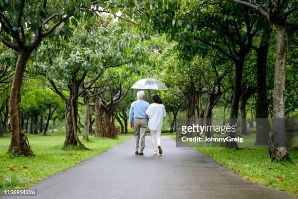 couple walking through trees with umbrella - asia rain stock pictures, royalty-free photos & images