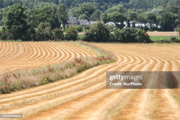 View of a field of flax after harvests near Bayeux. On Friday, July 19 in Caen, Normandy, France.