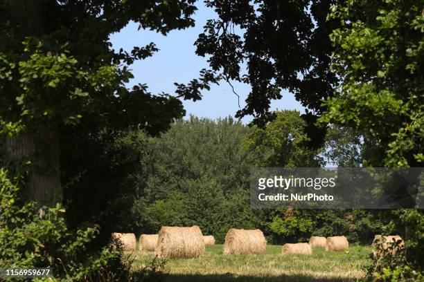 Field of hay bales after harvests near Bayeux. On Friday, July 19 in Caen, Normandy, France.