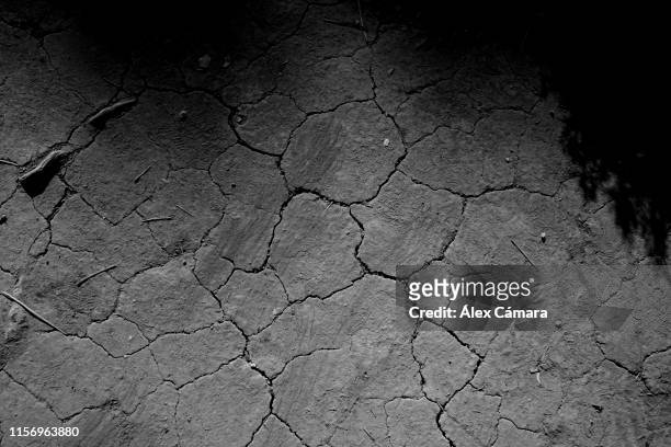 sequía en el sur de españa durante el verano - sequía 個照片及圖片檔