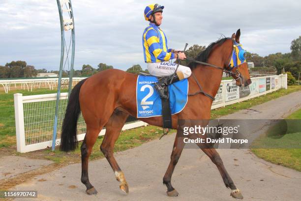 Tyson Returns ridden by Craig Robertson returns to the mounting yard after winning the Sam Miranda King Valley 0 - 58 Handicap on July 21, 2019 in...