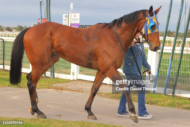 Tyson Returns in the mounting yard after winning the Sam Miranda King Valley 0 - 58 Handicap on July 21, 2019 in Wangaratta, Australia.