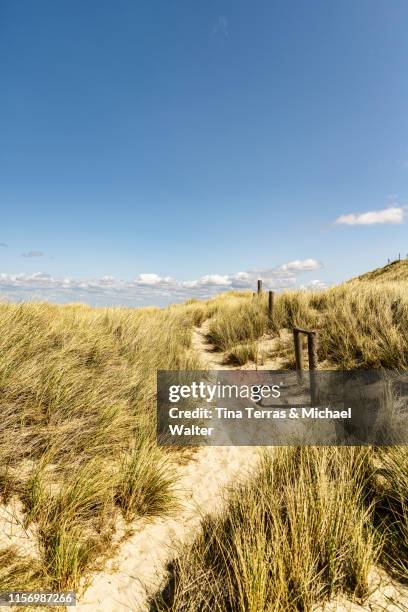 dune landscape on the beach in germany. - isla de sylt fotografías e imágenes de stock