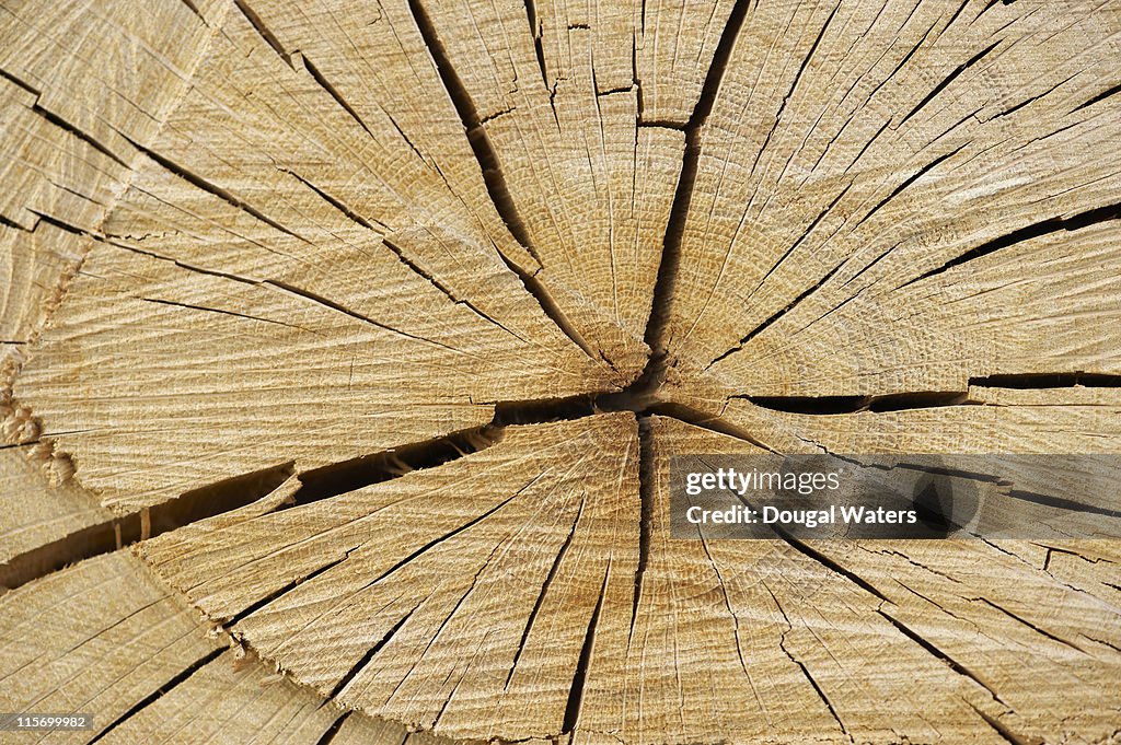 Cracked wood close up.