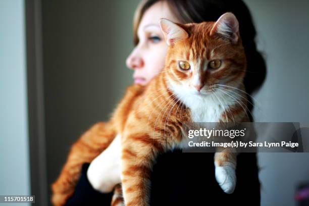 373 Sara A Cat Stock Photos, High-Res Pictures, and Images - Getty