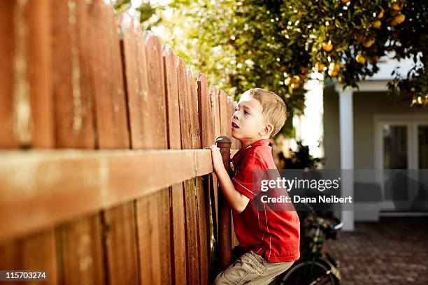 boy peeking over fence - ergens overheen kijken stockfoto's en -beelden