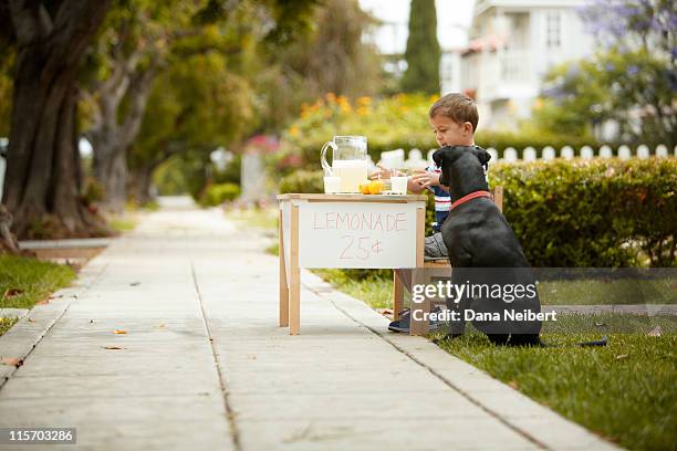 dog and boy at lemonade stand - traditional lemonade stock pictures, royalty-free photos & images