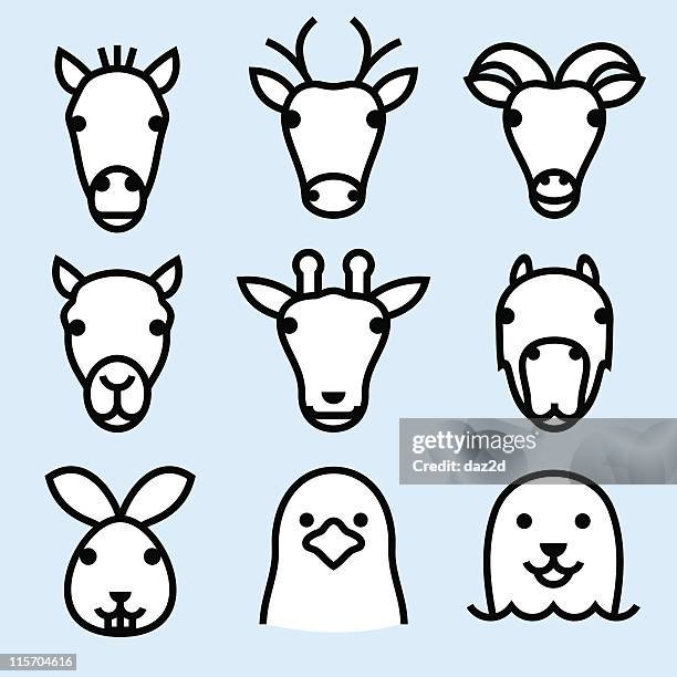 9 842点の馬 正面のストックフォト Getty Images 9 842点の馬 正面のストックフォト Getty Images