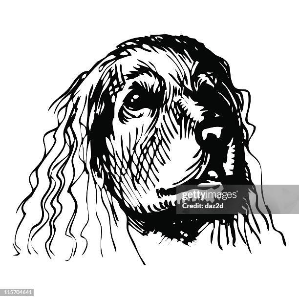 cocker spaniel - cocker spaniel stock illustrations