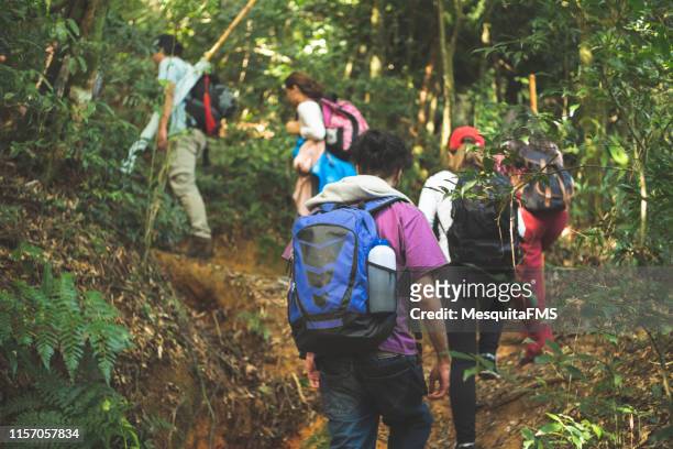 grupo de aventureros que exploran la selva tropical - turismo ecológico fotografías e imágenes de stock