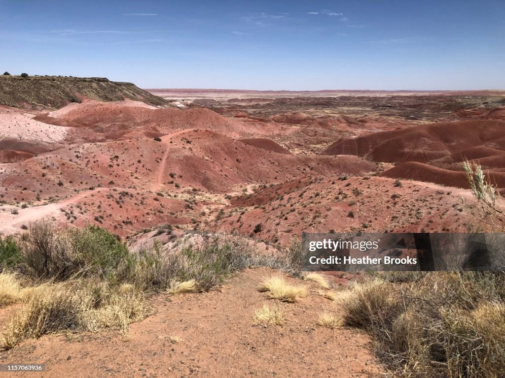 Desert Silence