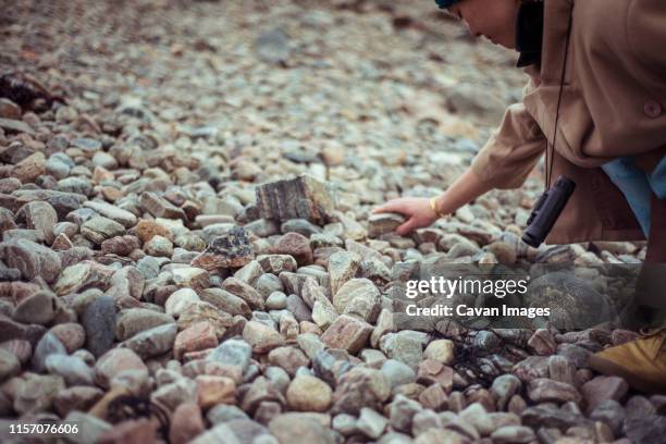 Collecting Large Rocks Collecting Rocks Photos and Premium High Res Pictures - Getty Images