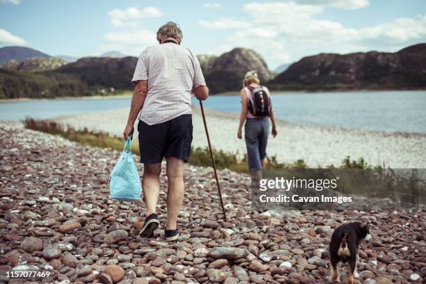 retired couple and dog walk along beautiful pebbled beach - pebbled road stock pictures, royalty-free photos & images