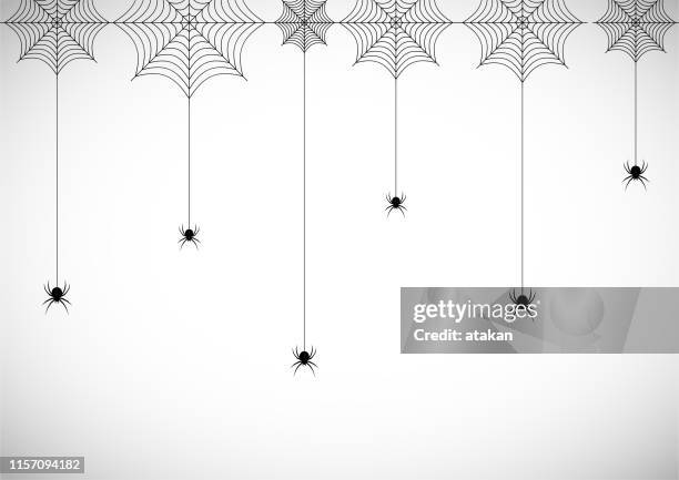 spiders and webs - tarantula stock illustrations