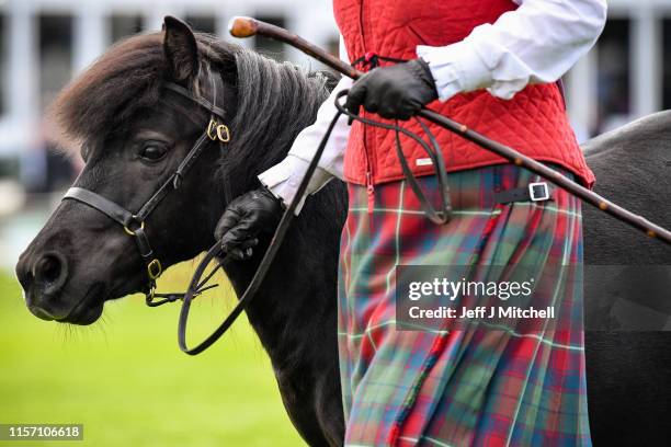 Shetland Ponies are shown on day one of The Royal Highland Show on June 20,2019 in Edinburgh,Scotland.The show which is held at Ingliston started...