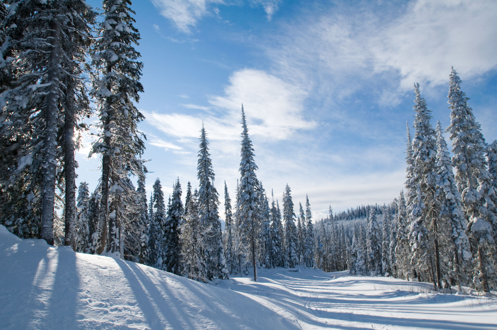 kamloops snowmobile