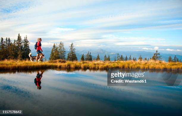 austria, salzburg state, female hiker with dog - lagos state fotografías e imágenes de stock