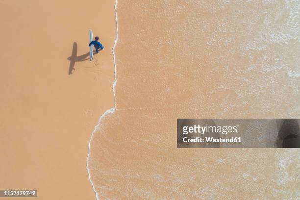 portugal, algarve, sagres, praia da mareta, aerial view of man carrying surfboard on the beach - borde del agua fotografías e imágenes de stock