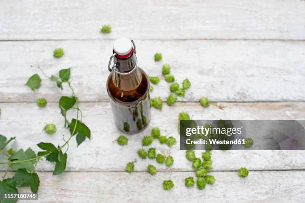 beer bottle and hops on white wood - vintage beer label stock pictures, royalty-free photos & images