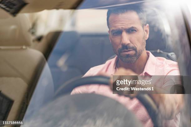 portrait of serious man driving car - rosa germanica foto e immagini stock