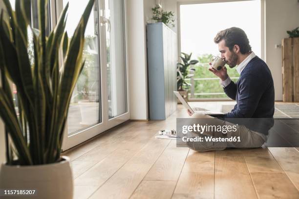 young man sitting cross-legged in front of window, using laptop, drinking coffee - 胡坐　横 ストックフォトと画像