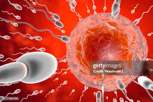 stockillustraties, clipart, cartoons en iconen met 3d rendered illustration, visualisation of sperm cells racing to a egg to fertilise - artificial insemination