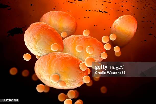3d rendered illustration, visualisation of fat cells clogging together in the human body - adipose cell点のイラスト素材／クリップアート素材／マンガ素材／アイコン素材