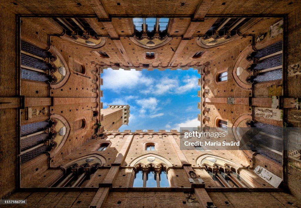 Siena looking up view