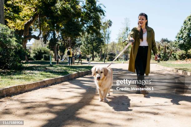 happy woman going walkies in city park with her labrador retriever - walking the dog stock pictures, royalty-free photos & images