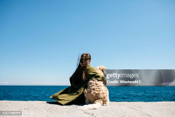 back view of woman sitting besides her labrador retriever at quay looking at horizon - perto imagens e fotografias de stock