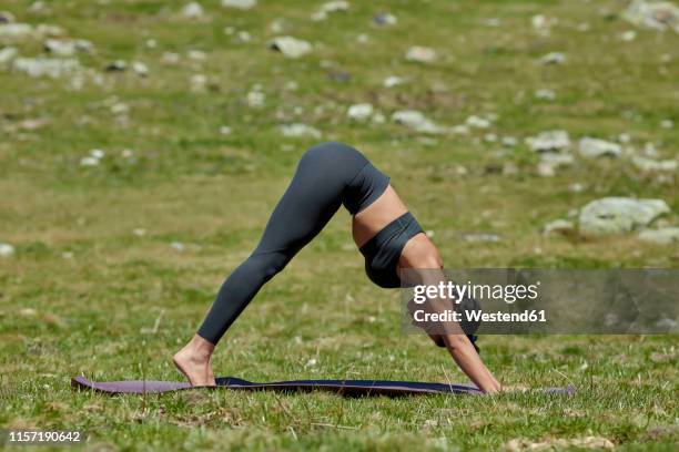 young woman doing yoga on meadow, downward facing dog position - downward facing dog position stock pictures, royalty-free photos & images