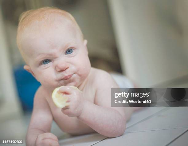 portrait of baby girl eating a lemon - funny baby faces stock pictures, royalty-free photos & images