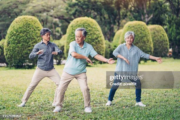 tai chi for health and longevity - practising tai-chi stock pictures, royalty-free photos & images