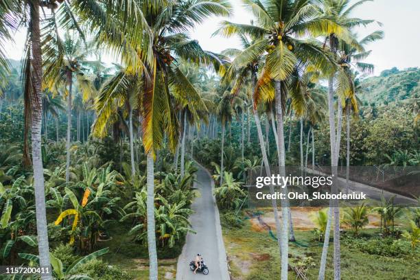 scenic aerial view van de vrouw rijden scooter in de jungle op nusa penida - nusa lembongan stockfoto's en -beelden