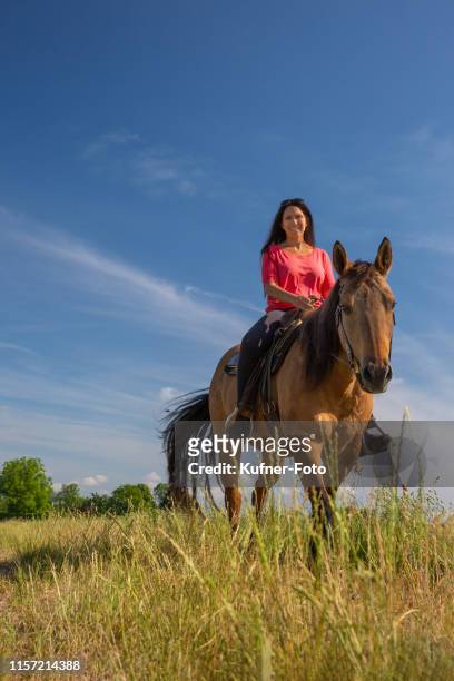 ms. riding her horse through the field - riding sports stock pictures, royalty-free photos & images