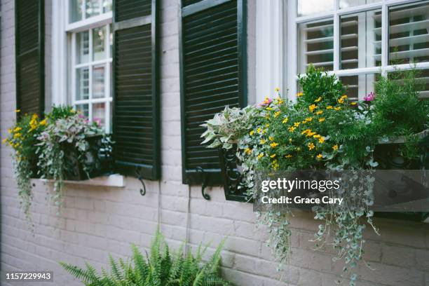 window boxes in bloom - flower boxes stock pictures, royalty-free photos & images