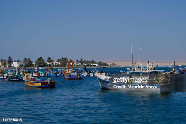 muelle el chaco, paracas - pisco peru stock pictures, royalty-free photos & images