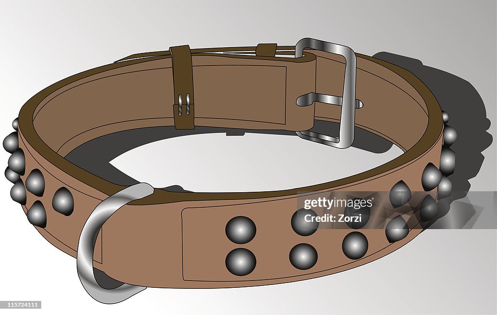 Collar