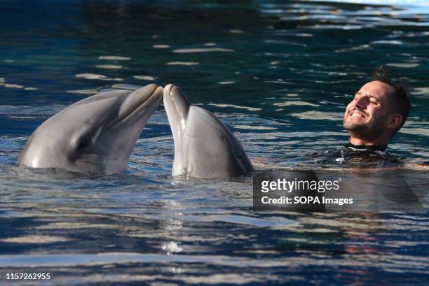 Two common bottlenose dolphins are seen with their keeper pictured in a show at the Madrid Zoo and in an Aquarium, where high temperatures reached up...