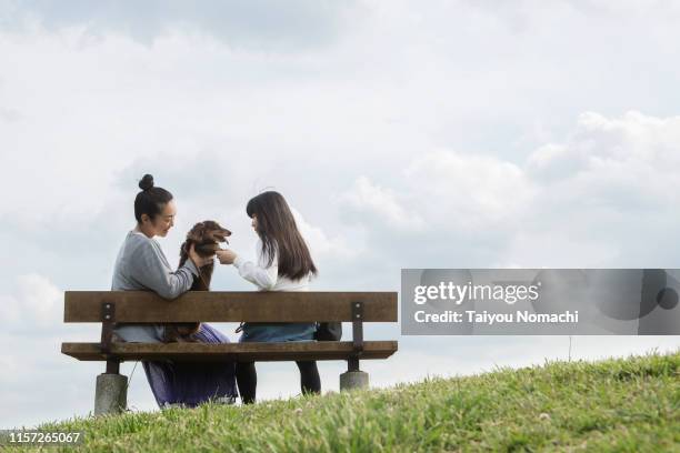 mother and daughter who love pets - woman dog bench stock pictures, royalty-free photos & images