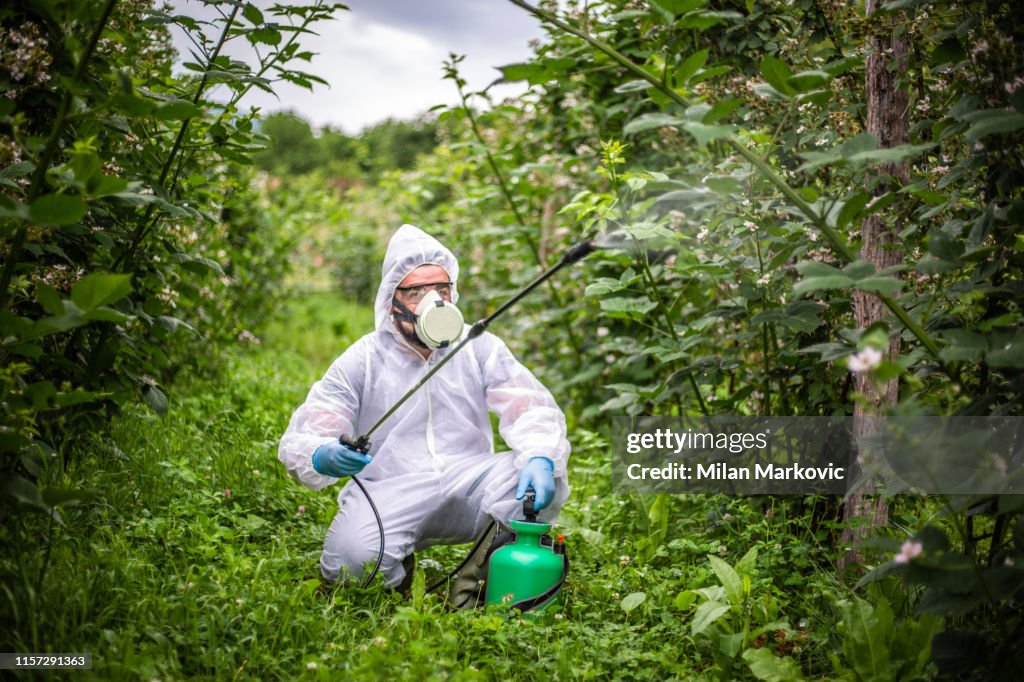 Pesticide spraying - protection