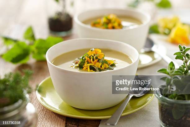 squash blossom soup - soup stock pictures, royalty-free photos & images